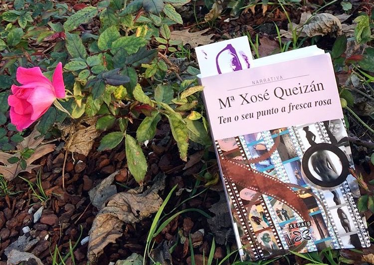 Ten o seu punto a fresca rosa