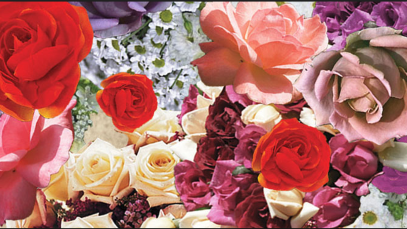 una madre alejandro palomas.PNG